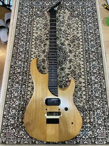 Washburn EC-36 (sky guitar