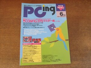 2407ND●PCing ピーシーイング 1994.6●特集 CONFIG.SYSマスター術(ドライバ編)/壁紙つくりに挑戦/フロッピーの使い方/3大お絵描きソフト