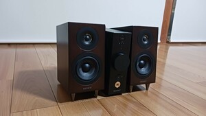 美品　ソニー コンパクトオーディオシステム CAS-1 : Bluetooth/ハイレゾ対応 ヘッドホンアンプ搭載 ブラック CAS-1 B