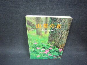 山梨の花　シミ値段シール有/OBC