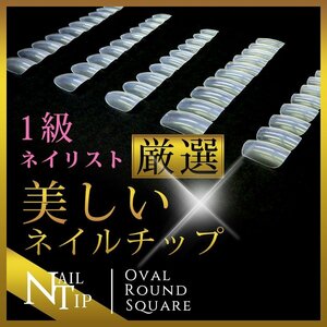 ネイル　ラウンドショート NO,5 ネイル【1級ネイリスト厳選】　ネイル　極上ネイルチップ　クリア　ネイル　50枚入り