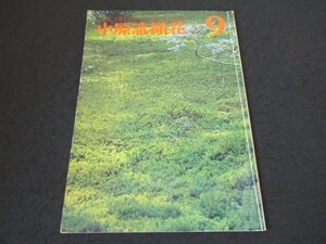 本 No1 01160 小原流挿花 1977年9月号 家元講座 小原豊雲 秋風 初級講座 唐ごまの傾斜型 爽秋の野 中級講座 ざくろの瓶花 一輪挿しの花