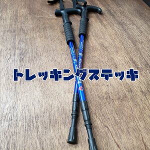 トレッキングステッキ トレッキングポール ANTISHOCK ステッキ 杖 2本セット 伸縮 ハイキング アウトドア 登山 ウォーキング【120z605】