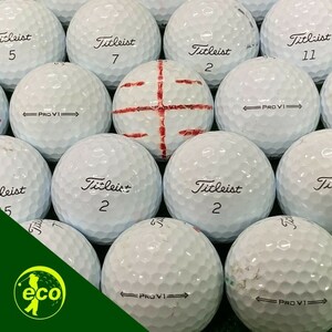 ロストボール タイトリスト PRO V1 2021年 ホワイト 20球 Bランク 中古 ゴルフボール ロスト Titleist エコボール 送料無料