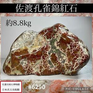 【信濃美術石博物館】 水石 佐渡孔雀錦紅石 横29×高18.5×奥行15(cm)8.8kg 佐渡赤玉石 佐渡錦紅石 赤玉赤石盆栽骨董鑑賞石観賞石 6290