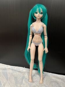 ドルフィードリーム初音ミク　DDS dollfiedream ボークス　VOLKS ミクヘッド　ドール一式