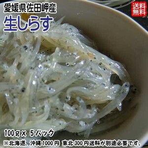 生しらす 100g×5p 小分け 冷凍便 愛媛 佐田岬産 送料無料 浜から直送 無添加・無着色 宇和海の幸問屋