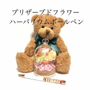 ガラス容器のプリザーブドフラワー＆ハーバリウムボールペン＆クマのぬいぐるみセット