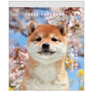 壁掛けカレンダー2025年 DOGウォールカレンダー 2025 Calendar いぬ アクティブコーポレーション スケジュール