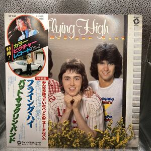 LP レコード 帯 ピクチャー盤 Flying High Pat Mcglynn Band フライング ハイ パット マッグリン バンド