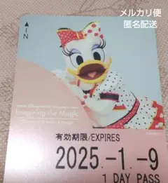 ディズニーリゾートライン フリーきっぷ