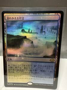 MTG　溢れかえる岸辺　Flooded Strand　日本語版　FOIL　1枚　モダンホライゾン3