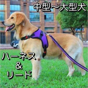 ゴールデンレトリバー ハーネス＆リード 大型犬 イヌ クッション 首輪