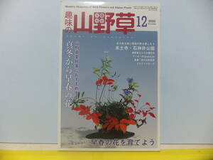 趣味の山野草 2020年 12 月号