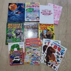 ☆お得☆男の子 図鑑 絵本 まとめ売り 13冊セット