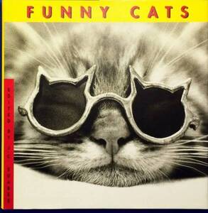 Funny cats　J.C.Suares