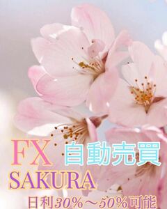  FX 自動売買 SAKURA 爆益EA