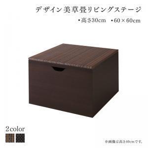 国産　収納付きデザイン美草畳リビングステージ 風凛 フーリン 畳ボックス収納 60×60cm ロータイプ ダークブラウン セピア