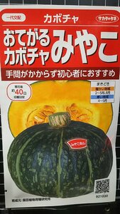 ３袋セット おてがる カボチャ みやこ 種 郵便は送料無料