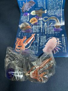 深海生物 DEEP SEA LIFE 単品 ダイオウイカ　海洋堂 フィギュア　水族館限定　生物図録 古代魚 ガチャ 深海魚