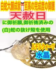 とぐろ巻き✨商売繁盛✨ヘビ✨金運✨巳✨十二干支✨白蛇のお守り【天赦日ご祈祷済】B