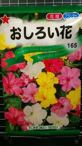 ３袋セット おしろい花 オシロイバナ 種 郵便は送料無料