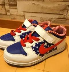 【レア】Nike キッズ スニーカー 19.5cm　ダンクロー　DUNK LOW