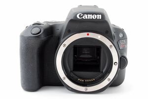 保証付 キャノン CANON EOS Kiss X9 デジタル一眼 カメラ 動作確認済 カメラ【2022/03/11日までの保証】☆438