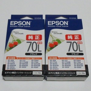 未使用 EPSON エプソン 純正 ICBK70L 2個セット プリンター インク カート リッジ ブラック 推奨使用期限2026.3と長い 日本製