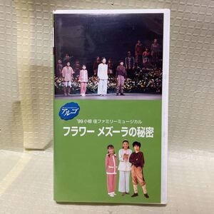 VHSビデオ　山崎育三郎出演　フラワー　メズーラの秘密　アルゴミュージカル　全て再生確認済み　未DVD化 NHK ikusaburou yamazaki 希少品