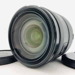 ★外観極上良品★ソニー Sony 16-50mm DT F2.8 SSM SAL1650 αマウント Aマウント 大口径標準ズームレンズ　＃412