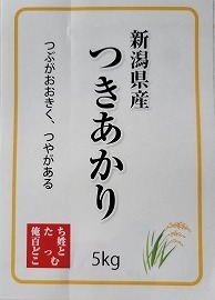 新潟県産つきあかり　検査米　5ｋｇ×2袋　令和6年産　新米