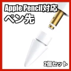 Apple Pencil ペン先 2個 ペンシル 替え芯 付け替え用 アップル