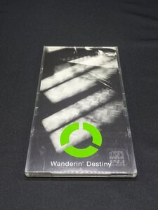 【売り切り】Ｗanderrin’ Destiny　giobe