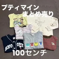 プティマイン 100センチ　まとめ売り