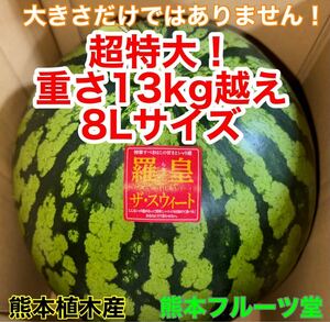 超特大！熊本産【羅皇】秀品8Lサイズ（1玉13〜14kg）熊本フルーツ堂81