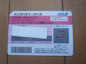 ANA 全日空 株主優待券 1枚　有効搭乗期間 2024年6月1日から2025年5月31日まで　送料無料