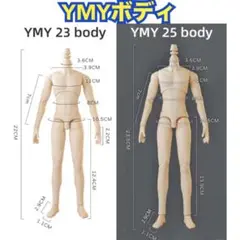 YMYボディ確認用