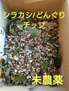 【草木染】 シラカシ/どんぐり　枝　チップ 600㌘ 染料 草木染め 用　材料