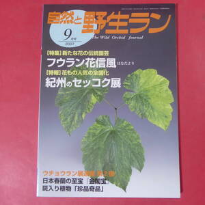 YN3-250109☆自然と野生ラン 2007年9月号　※ フウラン セッコク ウチョウラン 春蘭 ※ 園芸JAPAN