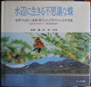 水辺に生きる不思議な蝶　世界でも珍しい長野・犀川コムラサキ3つの不思議 ねぐら・テリトリー・1年3世代交代　　長田健　浜栄一c