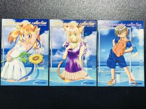 ★非売品 サーファーズパラダイス コミケ限定 SPカード 初版 2000年 トレカ TCG カードダスマスターズ COMIKET58 SUMMER LIMITED 夏コミ