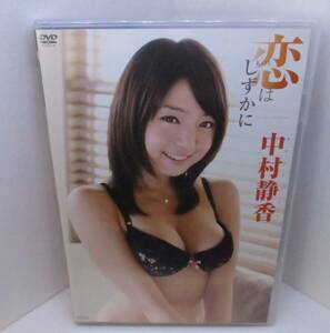 中古/中村静香 イメージDVD　5枚セット/宅配便発送