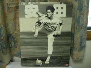 中日ドラゴンズ（Chunichi Dragons）　背番号22　曽田　康二？　写真パネル　フォトパネル　縦52ｃｍ横40ｃｍ厚み2ｃｍ　1オーナー禁煙保管