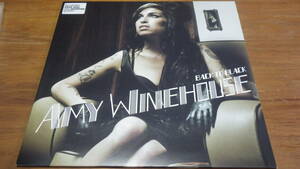 12inch Amy winehouse back to black エイミーワインハウス レコード アナログ ex 12インチ