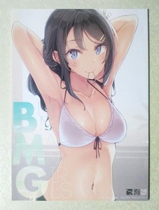 青春ブタ野郎はバニーガール先輩の夢を見ない 青ブタ 同人誌 イラスト集 BMG Bunny Many Girls (C96/溝口ケージ/Ntype)