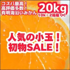 ㉑極早生みかん 20kg！10kgよりも超絶お得！コスパ最高◎佐賀県産 訳あり