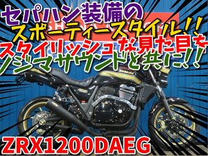 ■『免許取得10万円応援キャンペーン』12月末まで！！■日本全国デポデポ間送料無料！カワサキ ZRX1200DAEG ダエグ A1194 車体 カスタム