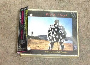 Pink Floyd 2 CDs , Delicate Sound of Thunder , Japan press