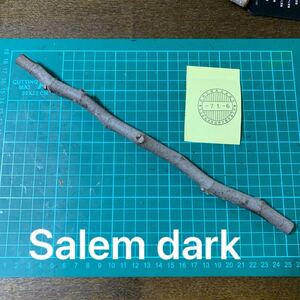 Salem dark穂木　 いちじく穂木 イチジク穂木